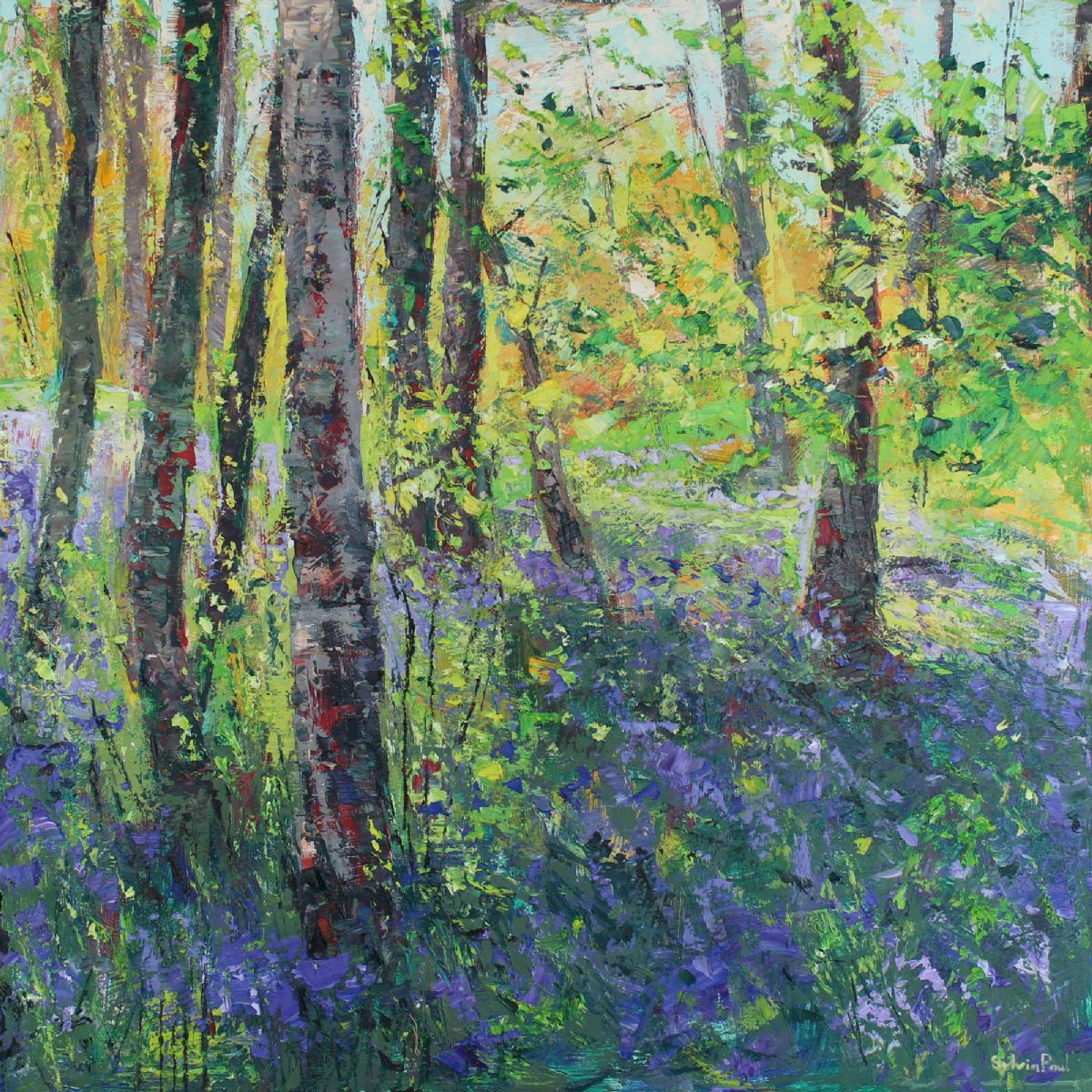 BirchTrees and Bluebells