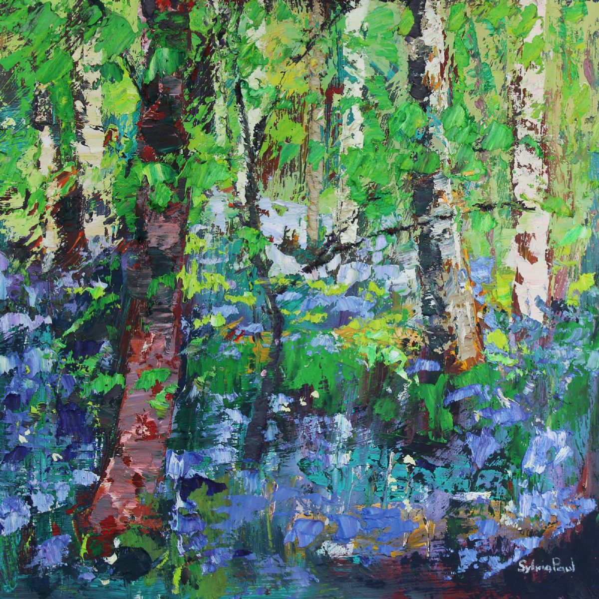 Bluebells in the Birch Wood