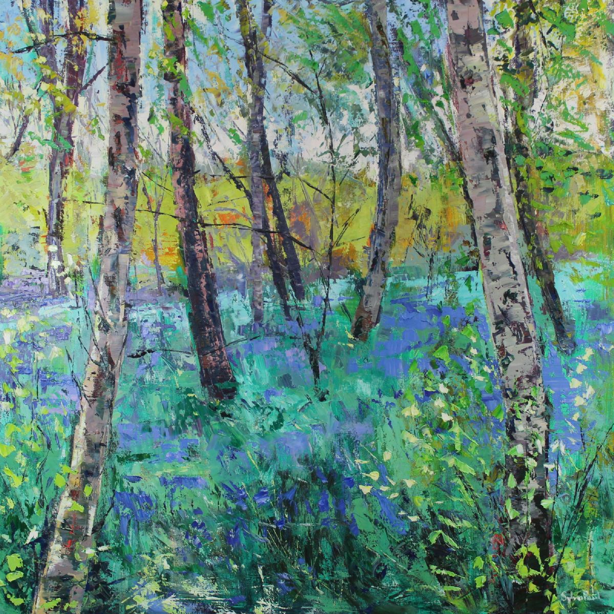 Spring Light and Bluebells