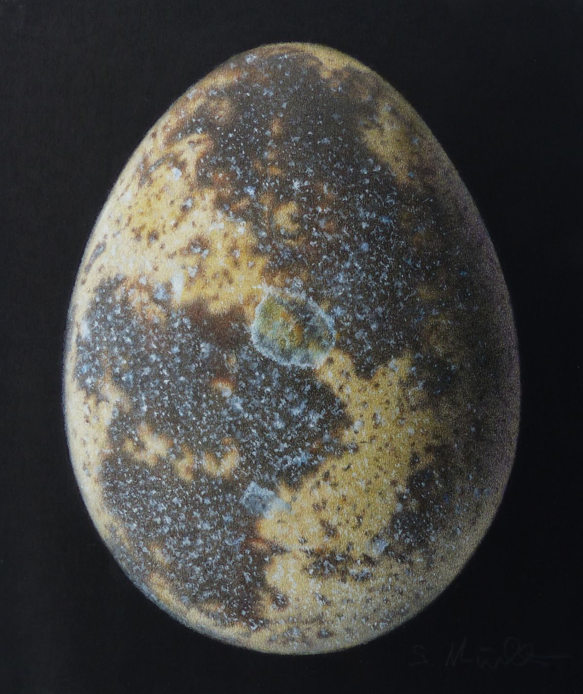 Quail Egg on Black