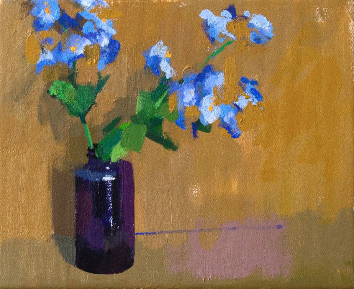 Forget-me-nots study